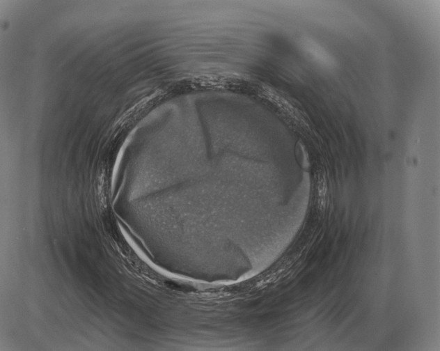 X0000083981060200703161551