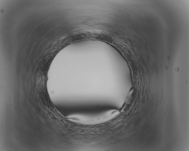 X0000083981061200703161551