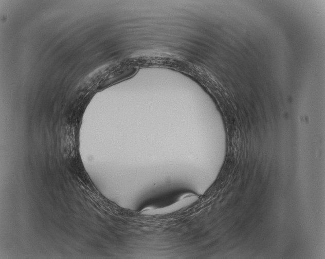 X0000083981062200703161551