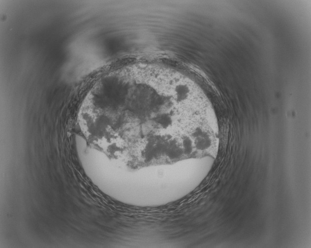 X0000083981063200703161551