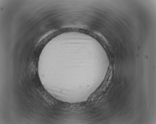 X0000083981064200703161551