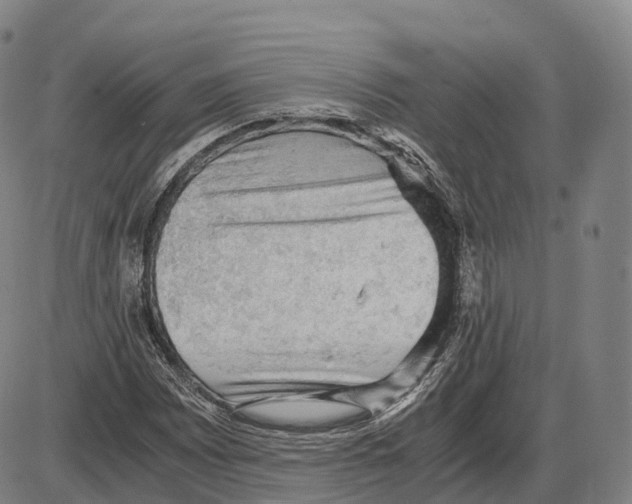 X0000083981065200703161551