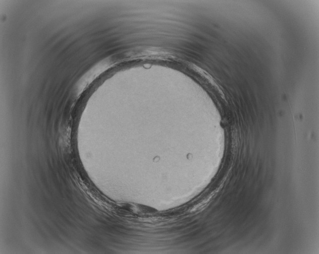 X0000083981066200703161551