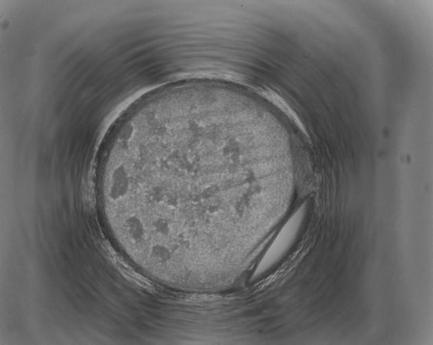 X0000083981068200703161551