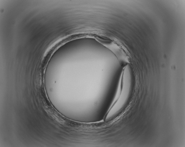 X0000083981069200703161551