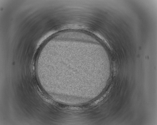 X0000083981070200703161551