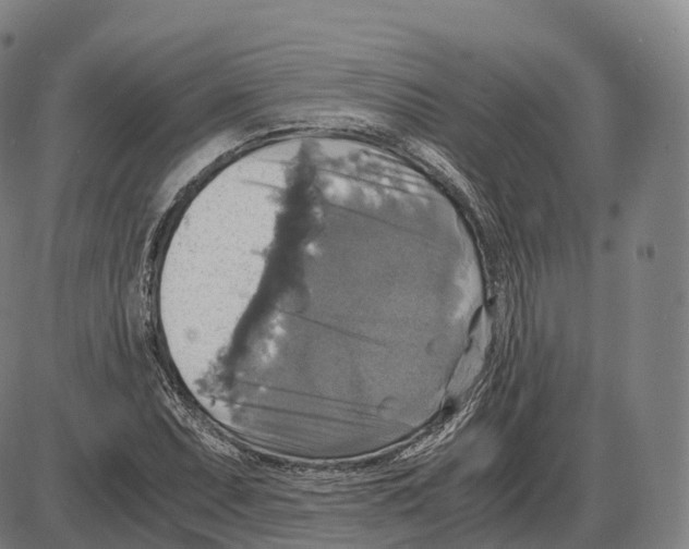 X0000083981071200703161551