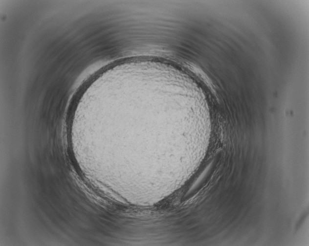 X0000083981072200703161551