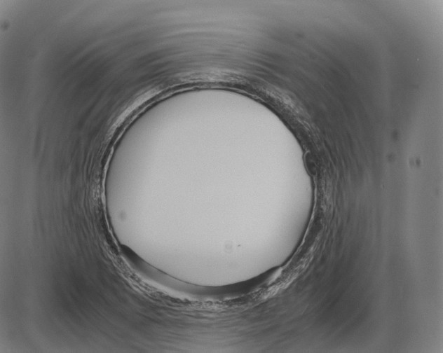 X0000083981073200703161551