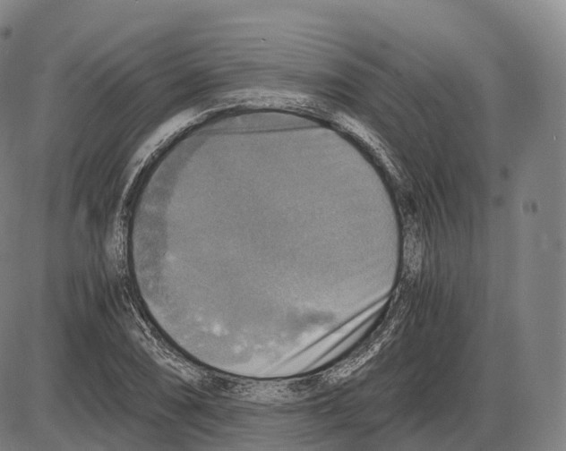 X0000083981074200703161551