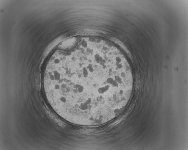 X0000083981075200703161551