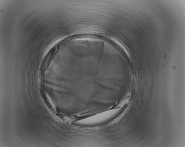 X0000083981077200703161551