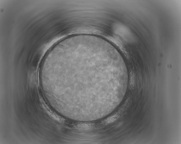 X0000083981078200703161551