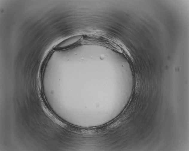 X0000083981080200703161551