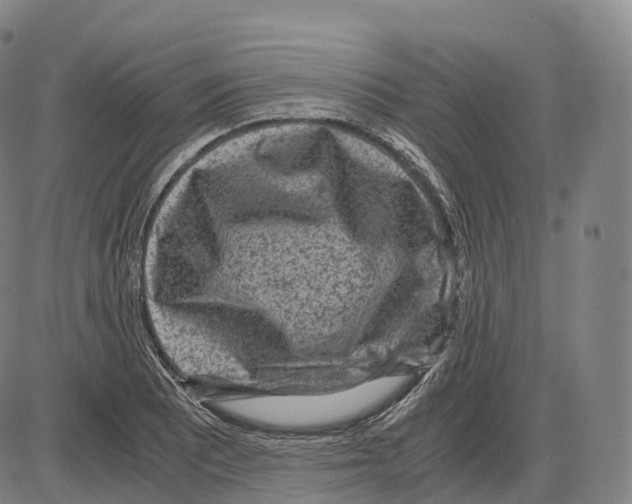 X0000083981081200703161551