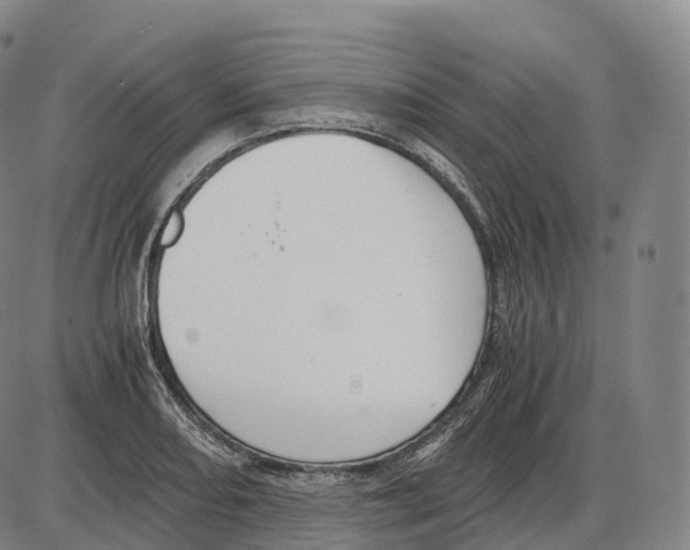 X0000083981082200703161551