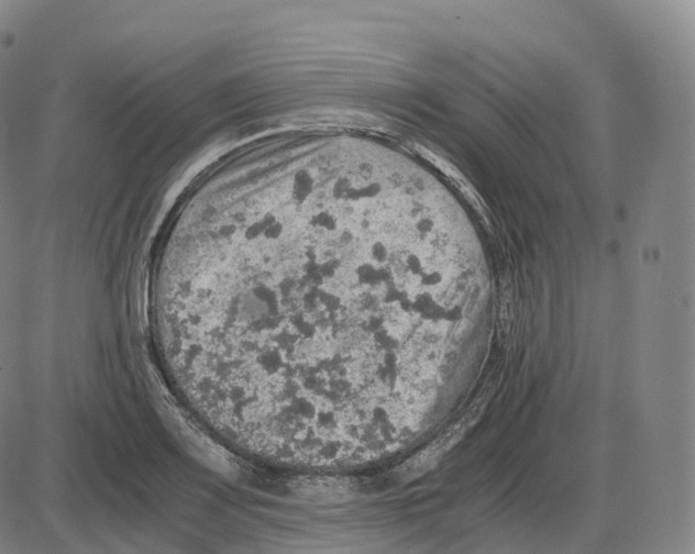 X0000083981083200703161551