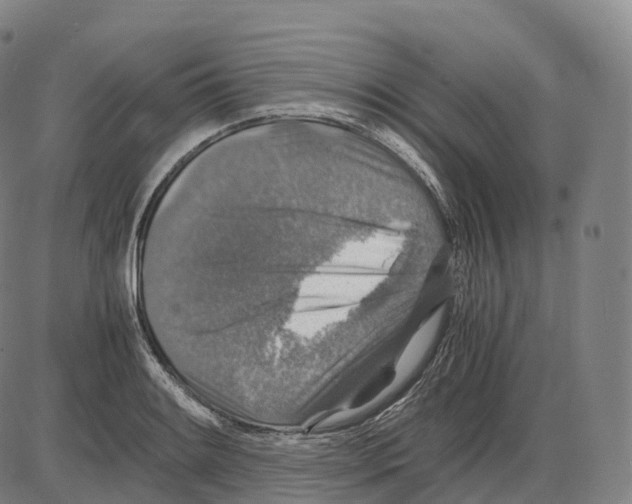 X0000083981084200703161551