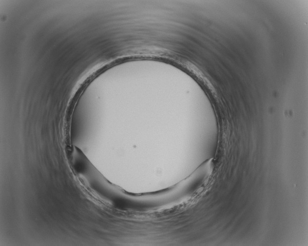 X0000083981085200703161551