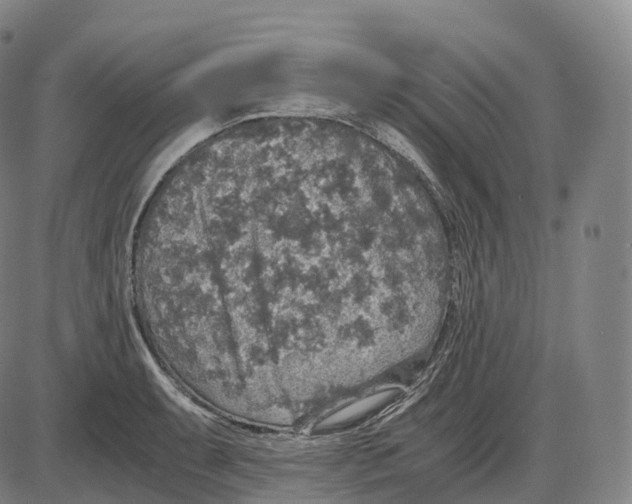 X0000083981087200703161551