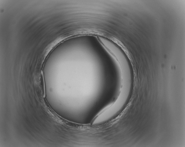 X0000083981089200703161551