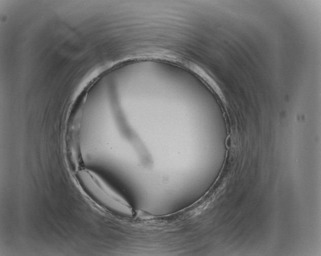 X0000083981093200703161551