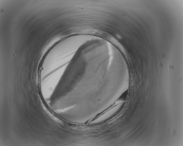 X0000083981095200703161551