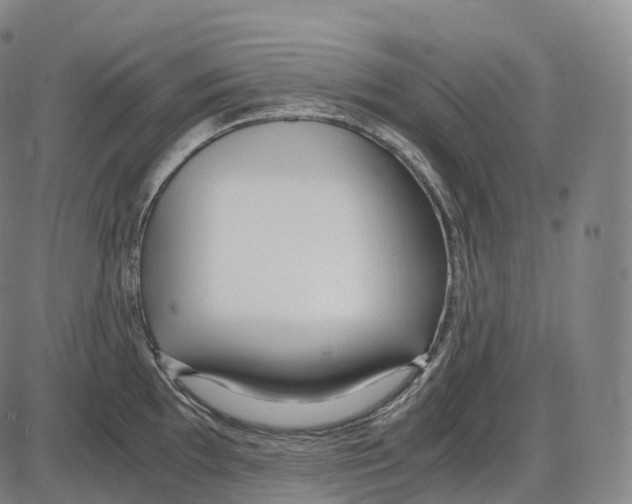 X0000083981097200703161550