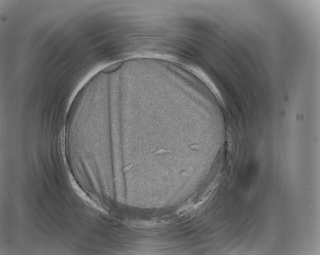 X0000083981100200703161550