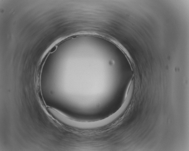 X0000083981101200703161550