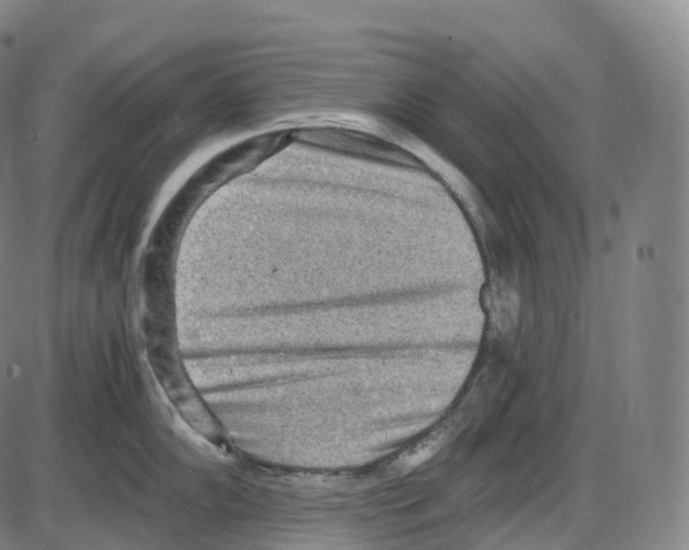 X0000083981102200703161550