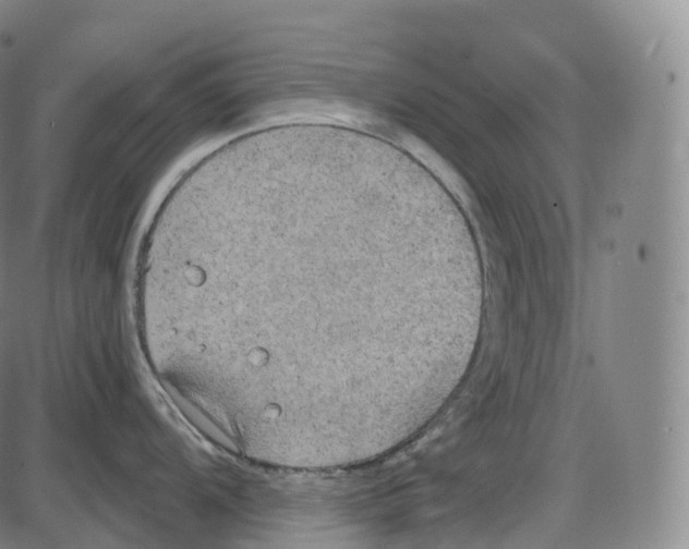 X0000083981104200703161550