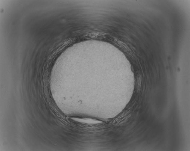 X0000083981105200703161550