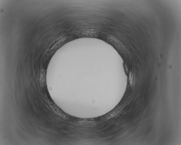 X0000083981107200703161550