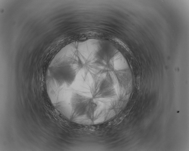 X0000083981111200703161550