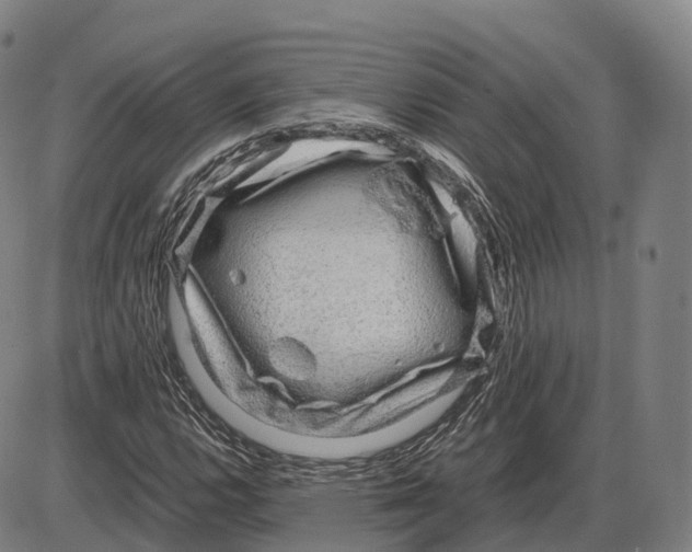 X0000083981112200703161550