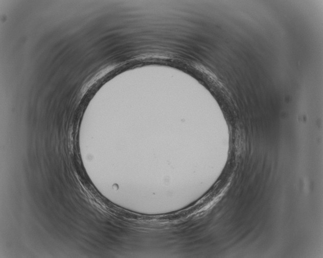 X0000083981113200703161550