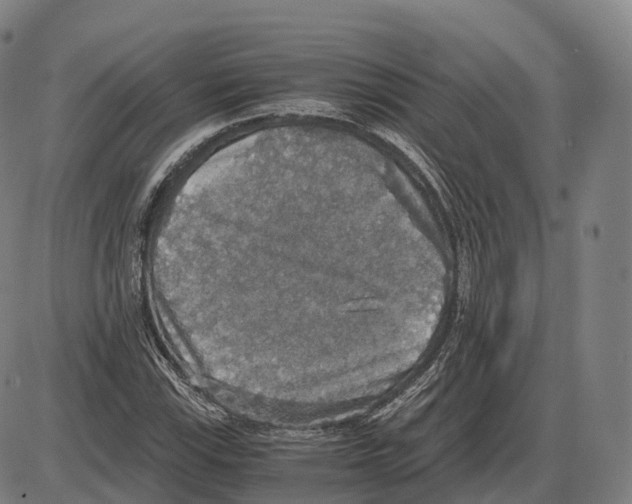 X0000083981115200703161550