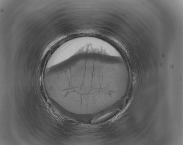 X0000083981117200703161550