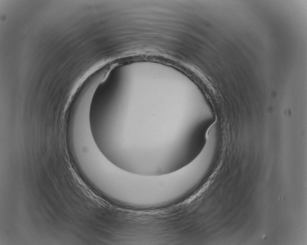 X0000083981118200703161550