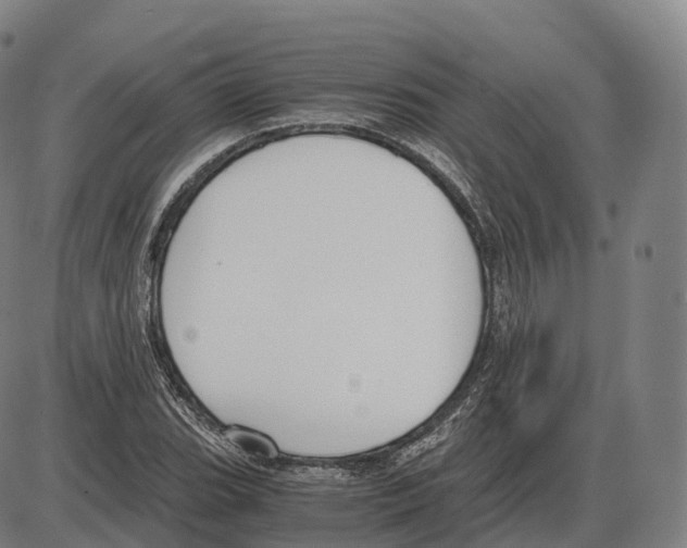 X0000083981119200703161550