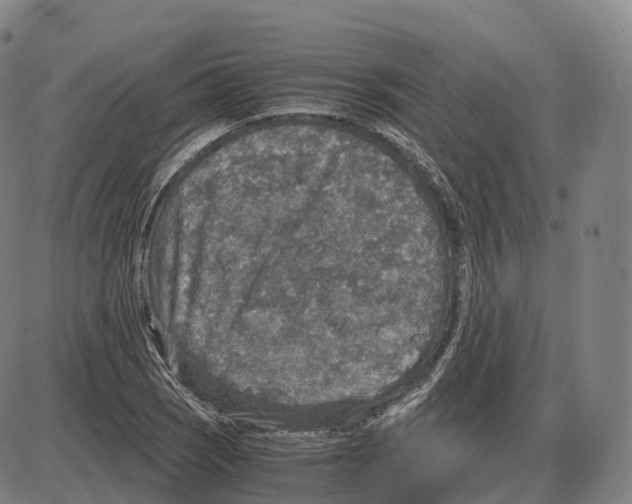 X0000083981121200703161550