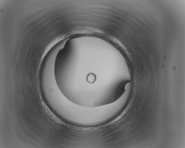 X0000083981122200703161550