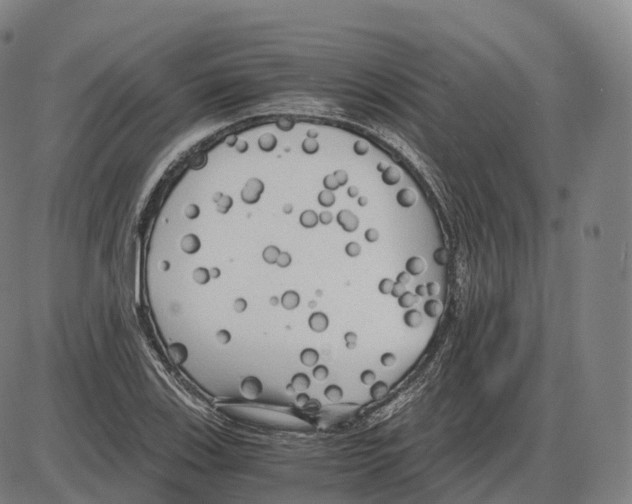 X0000083981123200703161550