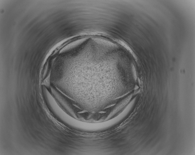 X0000083981124200703161550