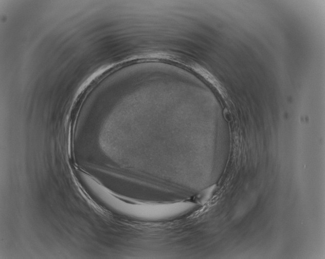 X0000083981127200703161550