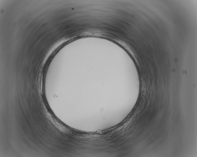 X0000083981131200703161550