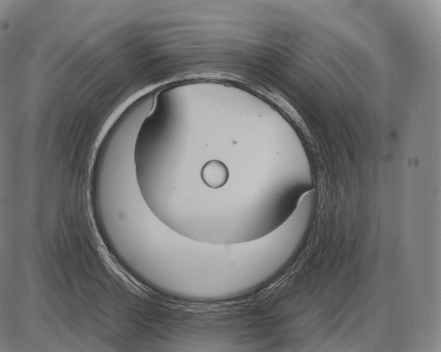 X0000083981132200703161550