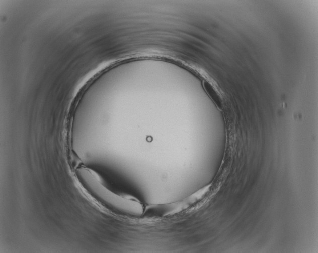 X0000083981134200703161550