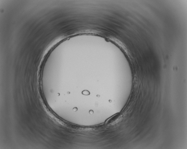 X0000083981135200703161550